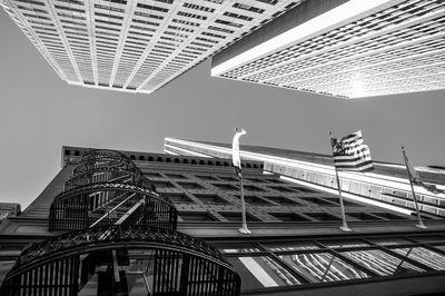 Low angle view of birds in city