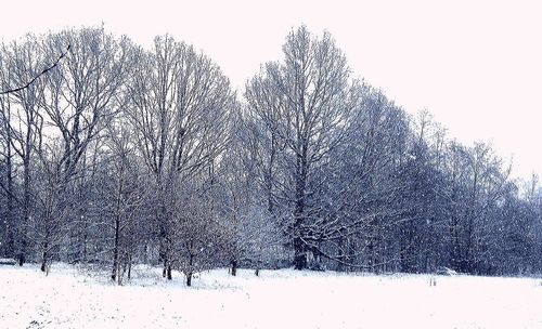 Snow covered field in winter