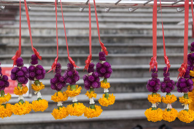 Close-up of flowers hanging on clothesline