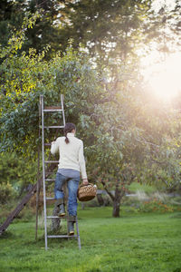 Rear view of man standing in yard