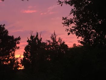 Low angle view of silhouette trees against sky during sunset