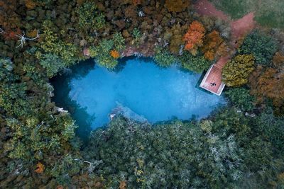 High angle view of trees by lake