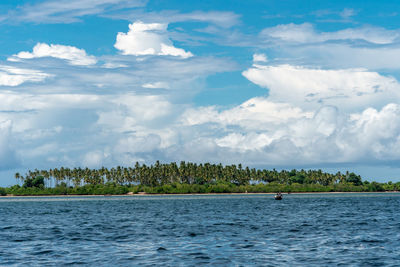 Tropical beach with rocks, lush vegetation on pemba island