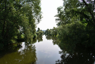 Reflection of trees in lake against sky