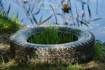 Close-up of abandoned tire on grassy field by lake