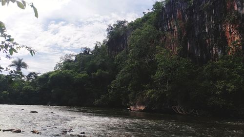 Scenic view of river by trees against sky