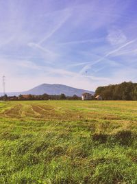 Scenic view of agricultural field against sky