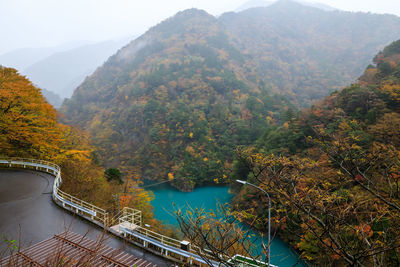 Landscape view autumn leaves and rainy season and emerald water in the middle of the valley in japan