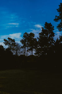 Silhouette trees on field against sky at sunset