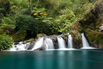 Scenic view of waterfall in forest in langevin réunion island 