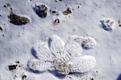 High angle view of snow