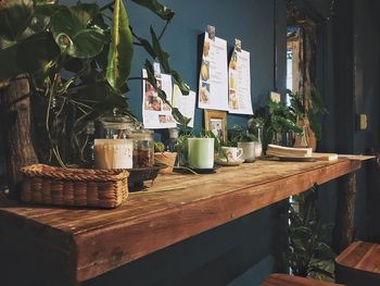 Potted plants in basket on table