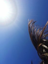 Low angle view of sun against clear blue sky