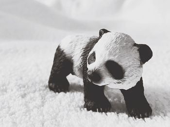 Close-up of panda figurine on rug