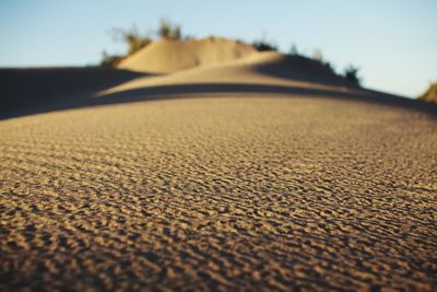 Surface level of sand dune