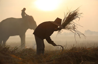 Farmer cutting grass on field against sky during sunset