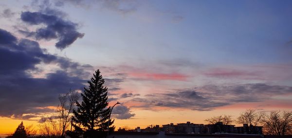 Low angle view of silhouette trees and buildings against sky during sunset