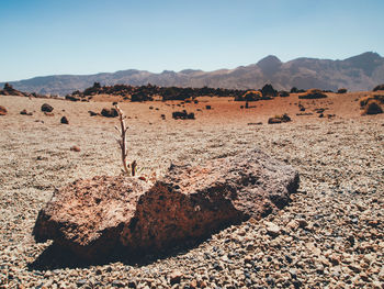 Scenic view of arid landscape against sky