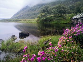 Scenic view of lake against cloudy sky