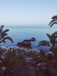 Scenic view of sea against clear sky