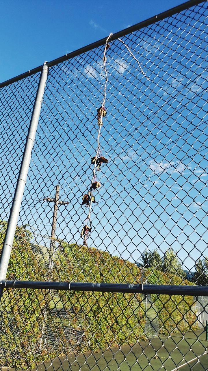 CHAINLINK FENCE AGAINST SKY