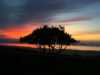 Silhouette trees on beach against sky during sunset