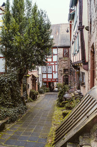 Street amidst houses and buildings in town