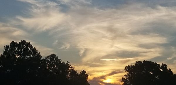 Low angle view of silhouette trees against sky