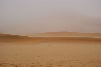 Scenic view of desert