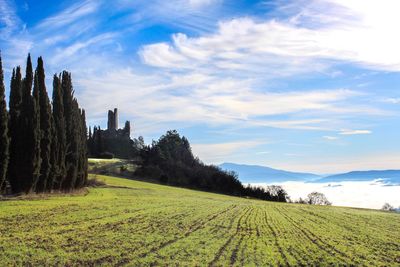 Scenic view of agricultural field against sky