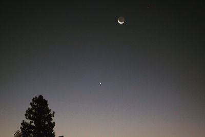 Low angle view of moon against clear sky at night