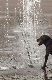 Water splashing in water