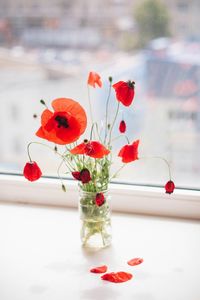 Close-up of red flowers