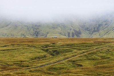 Scenic view of field in foggy weather