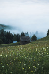 Scenic view of shack on grassy field against sky