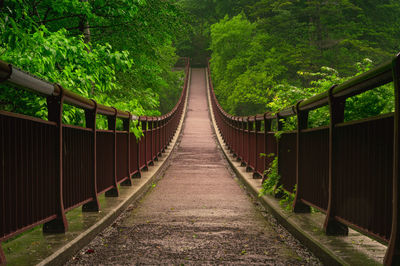 Suspension footbridge amidst trees in forest during rainy season.