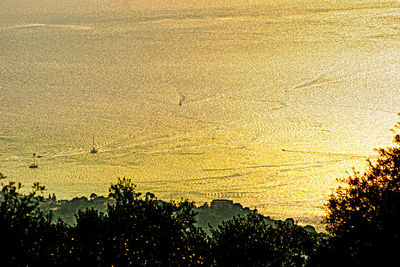 Silhouette trees on field against sky at sunset