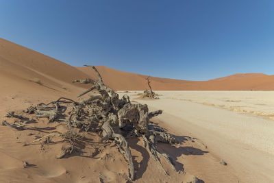 Scenic view of desert against clear sky