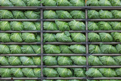 Full frame shot of green vegetables and metal grate