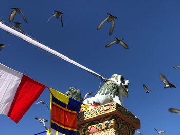 Low angle view of birds flying against clear blue sky