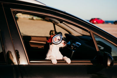 Portrait of woman wearing sunglasses against car