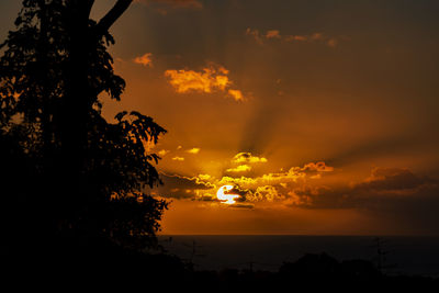 Silhouette trees by sea against sky during sunset