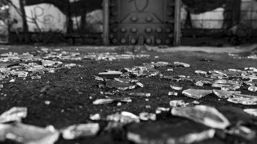 Surface level of dry leaves on street