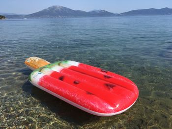 Red floating on sea shore