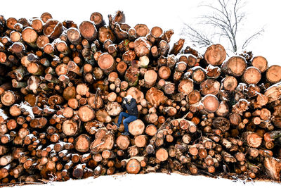 Stack of logs