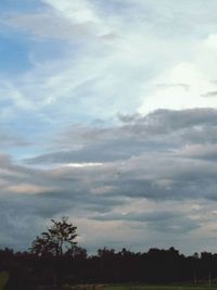 Low angle view of silhouette trees against sky