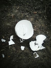 High angle view of broken glass on field