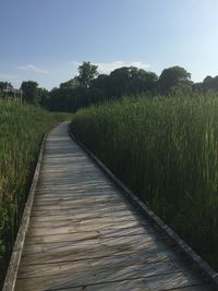 Footpath amidst wetland against sky