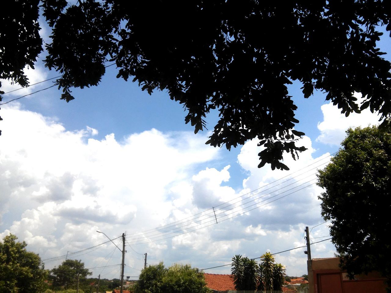 tree, low angle view, sky, silhouette, branch, cloud - sky, cloud, nature, growth, built structure, cloudy, building exterior, high section, beauty in nature, outdoors, tranquility, architecture, house, no people, street light