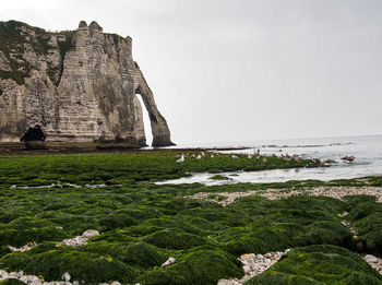 Rock formations at seaside